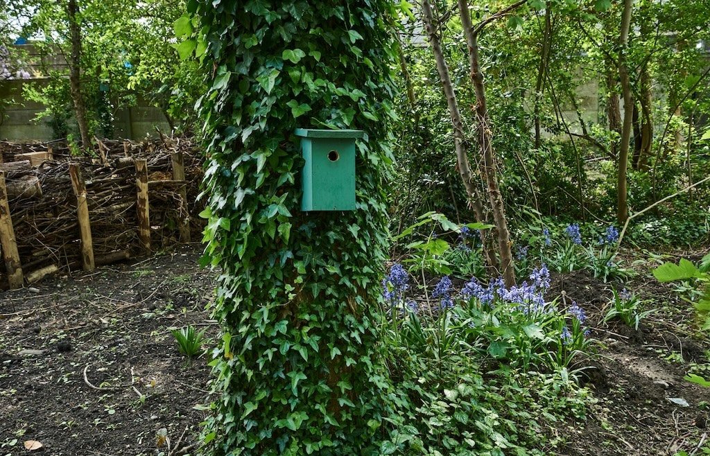 Vogelbroedkast in het Reigerspark