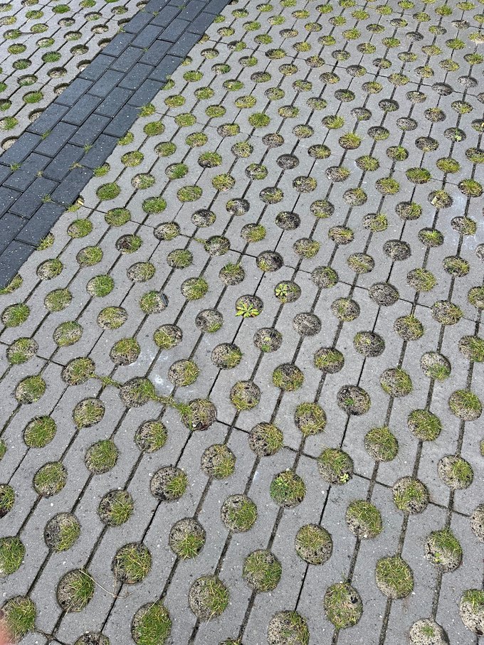 Cathedral Gardens, Manchester