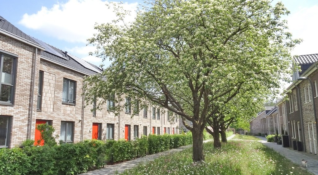 Nieuwbouwstraatje, autovrij met bestaande bomen